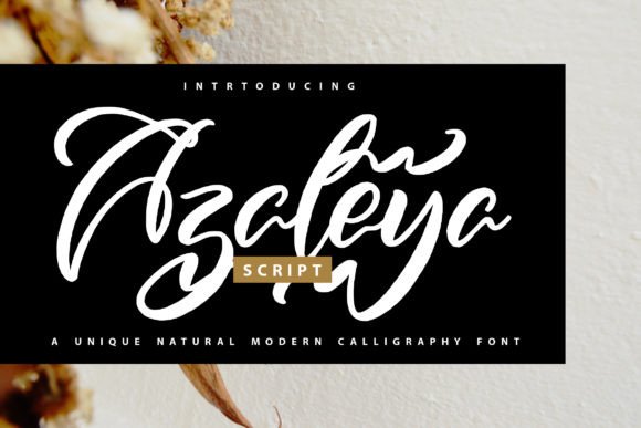 Azaleya: A Handwritten Script Font for Editorial Elegance