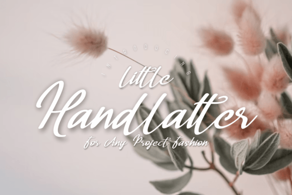 Elevate Your Web Design with Handlatter Little Font
