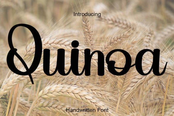 Quinoa: A Handwritten Font for Editorial Elegance